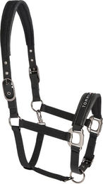 Tommy Hilfiger Equestrian Yale Shine Set Halfter mit Strick Schwarz für Warmblut aus Polypropylen und Polyester – Bild 1 von 2