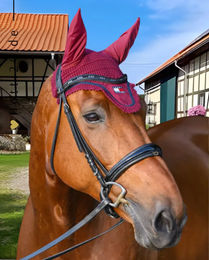 Produktbild von Tommy Hilfiger Fliegenhaube Oxford Rouge