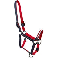 Produktbild von Tommy Hilfiger Halfter Global Multi aus Kunstleder bunt