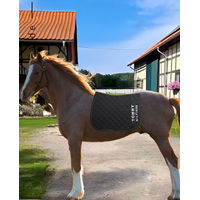 Produktbild von Tommy Hilfiger Springschabracke Paris Schwarz aus Polyester