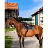 Produktbild von Tommy Hilfiger Springschabracke Windsor Blau aus Polyester