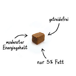 Produktbild von Top Trainer Belohnungssnack für Hunde getreidefrei und ohne Zucker 6 x 450g