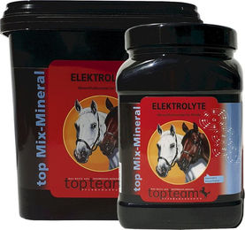 Produktbild von topteam Elektrolyte Pulver 1 kg