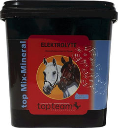 Produktbild von topteam Elektrolyte Pulver Ergänzungsfutter 3 kg