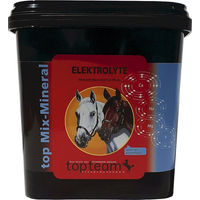Produktbild von topteam Elektrolyte Pulver Ergänzungsfutter 3 kg