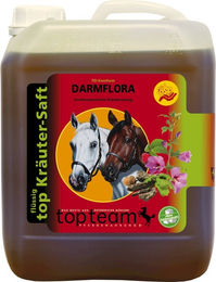 Produktbild von topteam top Darmflora Kräutersaft Ergänzungsfutter zur Unterstützung der Verdauung 2,50 l