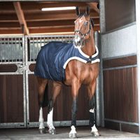 Produktbild von Trainer Führanlagendecke aus Polyester in Navy Blau 155 cm