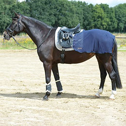 Trainingsdecke FLY Blau 155cm – Bild 1 von 3