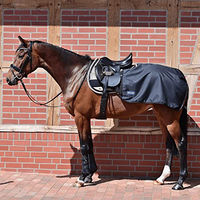 Produktbild von Trainingsdecke RAIN 50 Schwarz