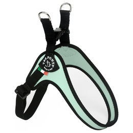 Produktbild von Tre Ponti Easy Fit Geschirr Mini Wasserabweisend in Mint Grün mit schwarzem Rand