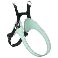 Produktbild von Tre Ponti Easy Fit R250 Hundegeschirr Pastel Mint mit verstellbarem Bauchgurt und reflektierendem Rand