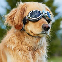 Produktbild von Tre Ponti Forza Reflexion Hundegeschirr waterproof Blau Größe M für große Rassen