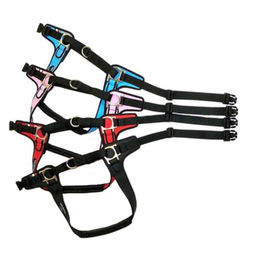 Tre Ponti Forza Sportgeschirr für Hunde Rosa mit schwarzem Rand Größe XL – Bild 1 von 2