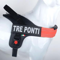 Produktbild von Tre Ponti Linea Flash Hundegeschirr Orange Größe XL mit verstellbarem Bauchgurt für große Rassen