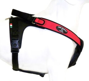 Tre Ponti Potenza Hundegeschirr Rot mit schwarzem Stoffrand Größe L – Bild 1 von 2