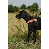 Produktbild von Tre Ponti Primo Plus Hundegeschirr aus Nylon in Orange Größe L 65-80 cm
