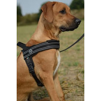 Produktbild von Tre Ponti Primo Plus Hundegeschirr mit Brustgurt aus Nylon Schwarz Größe L