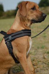 Tre Ponti Primo Plus Hundegeschirr Reflexion Schwarz XXL für Riesenrassen aus Nylon – Bild 1 von 3