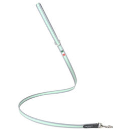 Produktbild von Tre Ponti Serie TP330 EASY Führleine für kleine und mittlere Hunde mit reflektierendem Rand 130cm mintgrün