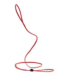 Produktbild von Tre Ponti Vorführleine Rot mit Metallbeschlägen 150 cm - 150 cm