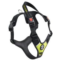Tre Ponti Y-Geschirr Harmonia lime Grün Größe XL – Bild 1 von 1