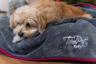 TrendPet Ruby Hundedecke und Trocknungsdecke aus Fleece Grau S OEKO-TEX STANDARD 100 – Bild 1 von 11