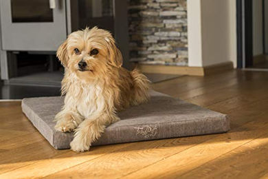 TrendPet VitaMedog 95°C Orthopädische Hundematratze mit Memory Foam und kochbarem Bezug – Bild 1 von 6