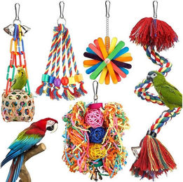 trends for living Papageienspielzeug-Set aus Naturmaterial mit Treppe Schaukel und Rattanball für Papageien und Wellensittiche bunt – Bild 1 von 5