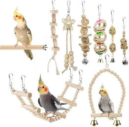 trends for living Vogelspielzeug Set aus Naturholz für Papageien mit Schaukel und Leiter 9 Stück – Bild 1 von 5