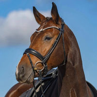 Produktbild von Trense Harmony Trensenzaum für Warmblut Extra in Schwarz mit Edelstahl