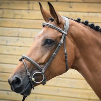 Produktbild von Trense London Jump'In Collection Leder Full Trense für Pferde in Braun oder Schwarz