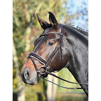Produktbild von Trense LUXURY für Warmblut Pferde in Schwarz