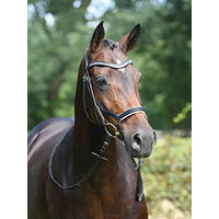 Produktbild von Trense MODENA für Warmblut aus Leder in Schwarz oder Weiß