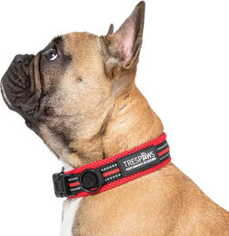 Produktbild von Trespass Scooby Hundehalsband aus Nylon in Bunt Rot Größe S