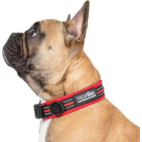 Produktbild von Trespass Scooby Hundehalsband aus Nylon in Bunt Rot Größe S