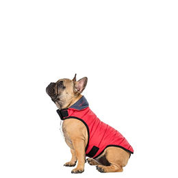 Trespaws Hundejacke Kimmi X gesteppt aus Polyamid in Grau oder Rot Größe XS – Bild 1 von 5