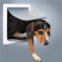 Trixie 2-Wege Hundeklappe aus Kunststoff mit transparenter Klappe weiß S–M – Bild 1 von 13