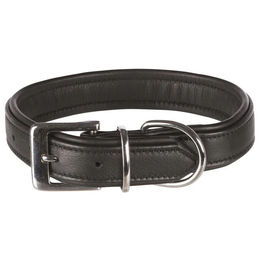Trixie Active Comfort Hundehalsband aus Kunstleder Schwarz L-XL 52-63cm 35mm – Bild 1 von 2
