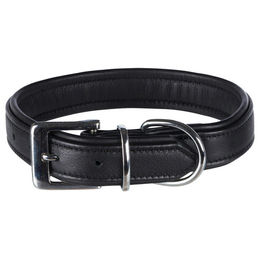 Trixie Active Comfort Hundehalsband aus Leder Schwarz Größe S – Bild 1 von 3