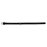 Produktbild von Trixie Active Hundehalsband aus Leder in Schwarz XL