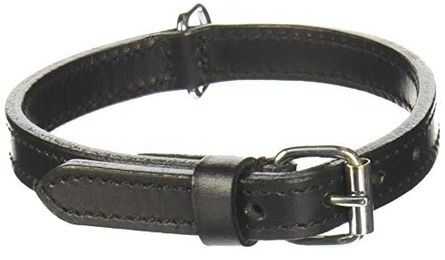 Trixie Active Hundehalsband aus Leder in Schwarz XS – Bild 1 von 3