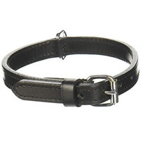 Produktbild von Trixie Active Hundehalsband aus Leder in Schwarz XS