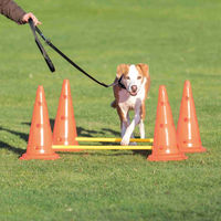 Produktbild von Trixie Agility-Pylonen-Hindernis 2er Set aus Kunststoff in Orange und Gelb