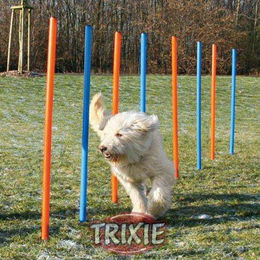 Trixie Agility Slalom Hundetraining aus Nylon in Bunt – Bild 1 von 1