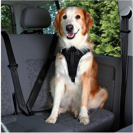 Trixie Auto-Geschirr Comfort Hund Schwarz Nylon Größe M 50–65 cm – Bild 1 von 6