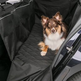 Trixie Auto-Schondecke für Hunde aus Polyester, wasserdicht, schwarz, 1,55 x 1,30 m - 1,55 m – Bild 1 von 13