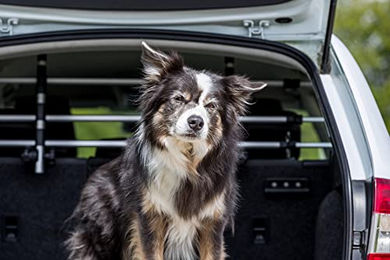 Trixie Auto-Schutzgitter Hundegitter aus Aluminium mit Kopfstützenfixierung Silber/Schwarz Breite 96-163 cm Höhe 34-48 cm – Bild 1 von 13