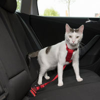 Produktbild von Trixie Auto-Sicherheitsgeschirr für Katzen aus Nylon in Rot