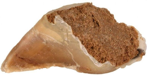 Trixie Belohnungssnack Kauhuf mit Rind Fleischpastete 115 g - 25 x 115 g – Bild 1 von 3