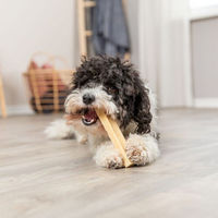 Produktbild von Trixie Chewy Cheese Kausnack für Hunde Größe L glutenfrei und hypoallergen - 12 x 95 g
